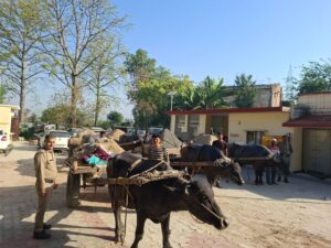 उत्तराखंड / हरिद्वार : कोतवाली रानीपुर पुलिस का अवैध खनन पर बड़ा प्रहार, नदी से 07 भैंसा बुग्गियां जब्त_देखे विडिओ !!