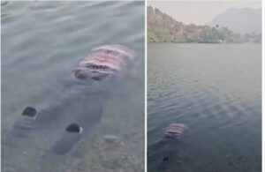 उत्तराखंड/ नैनीताल : भीमताल की नौकुचियाताल झील में मिला गाजियाबाद के पर्यटक का शव, रहस्यमयी मौत से क्षेत्र में सनसनी_देखे विडिओ !!