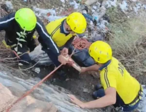 उत्तराखंड / देहरादून : दर्दनाक हादसा: कोल्ड ड्रिंक से भरा ट्रक 100 मीटर गहरी खाई में गिरा, चालक की मौके पर मौत…